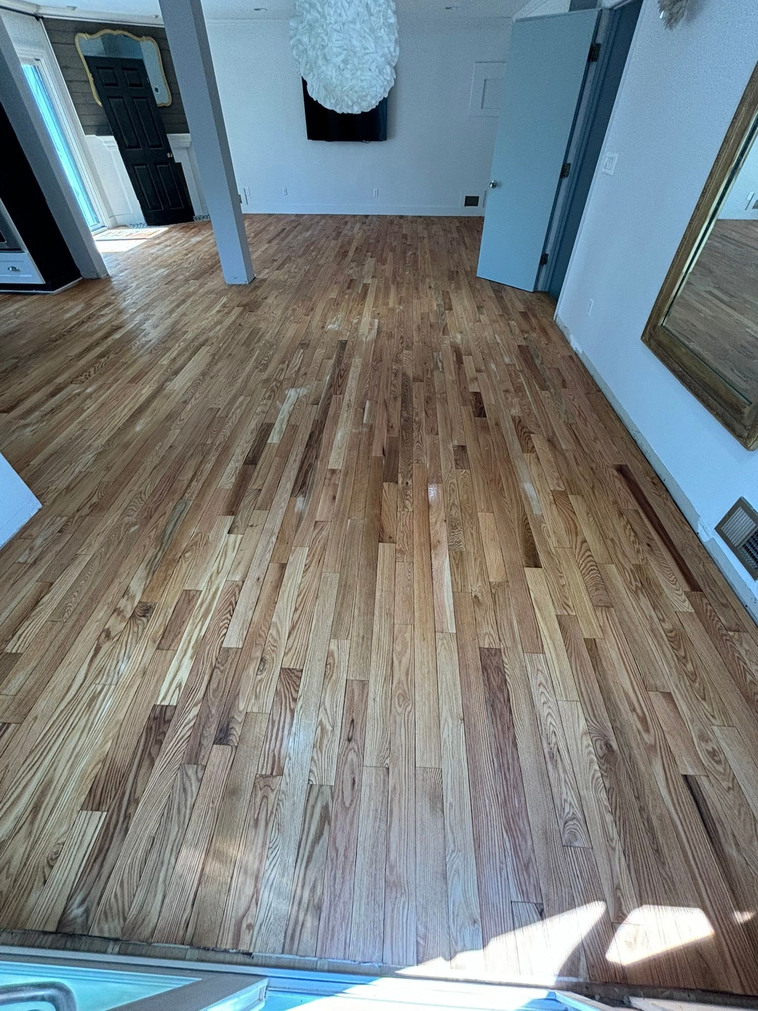 Wide-angle view of a wood-floored room. Sunlight illuminates the planks; a light fixture hangs from the ceiling.