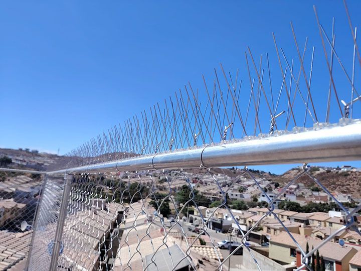 ALAMBRADOS GAMA