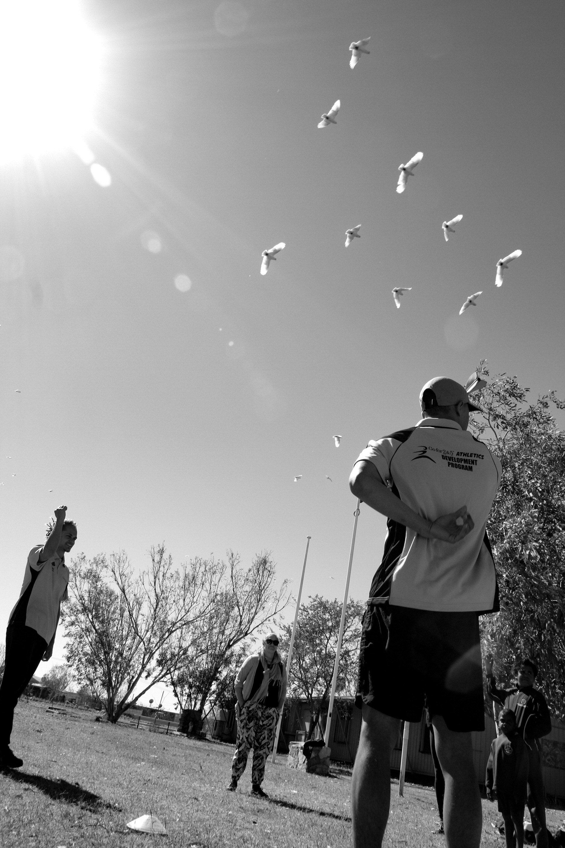 Bird fly over the school green during sports day at JPP School Mulan