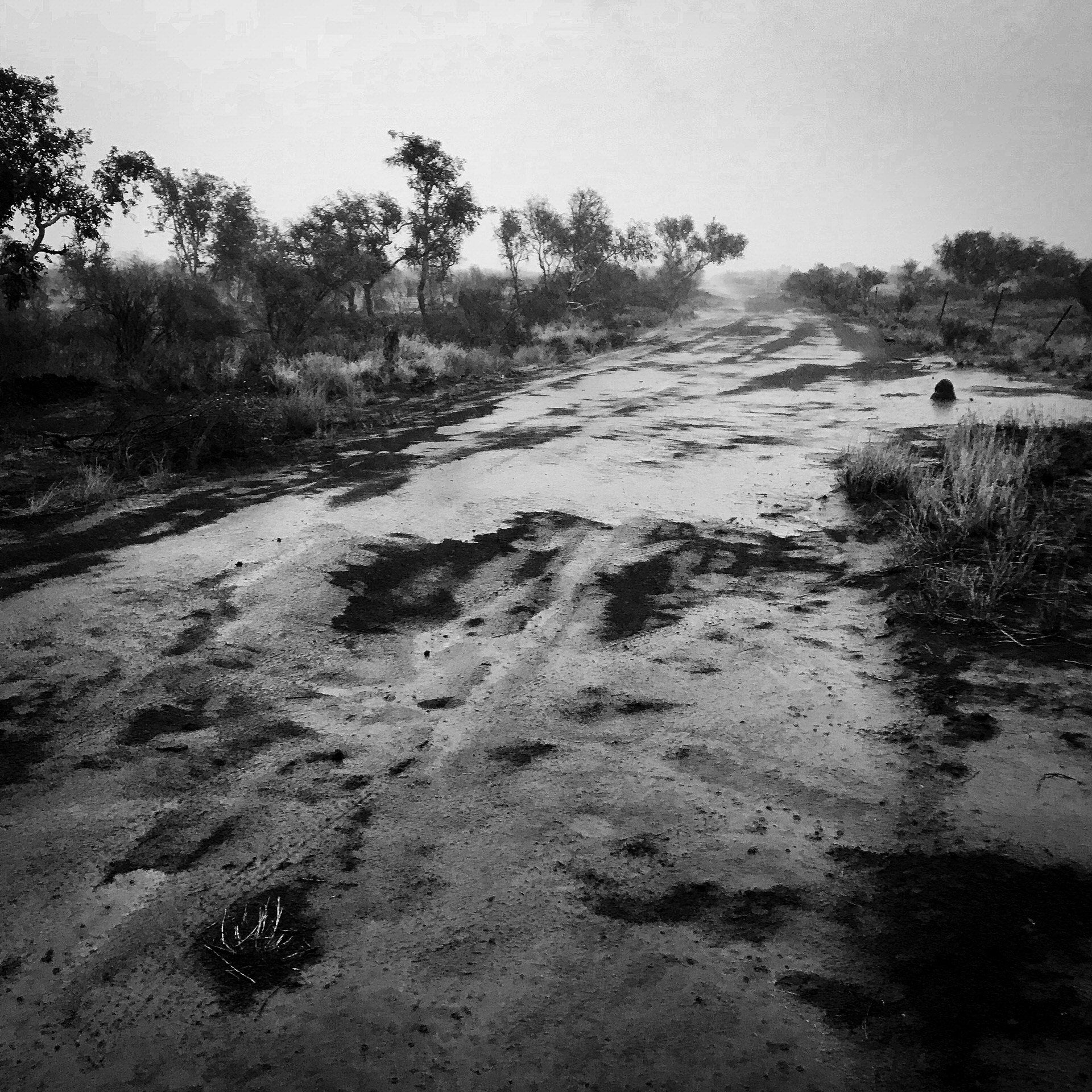 Wet and muddy road into Mulan community WA