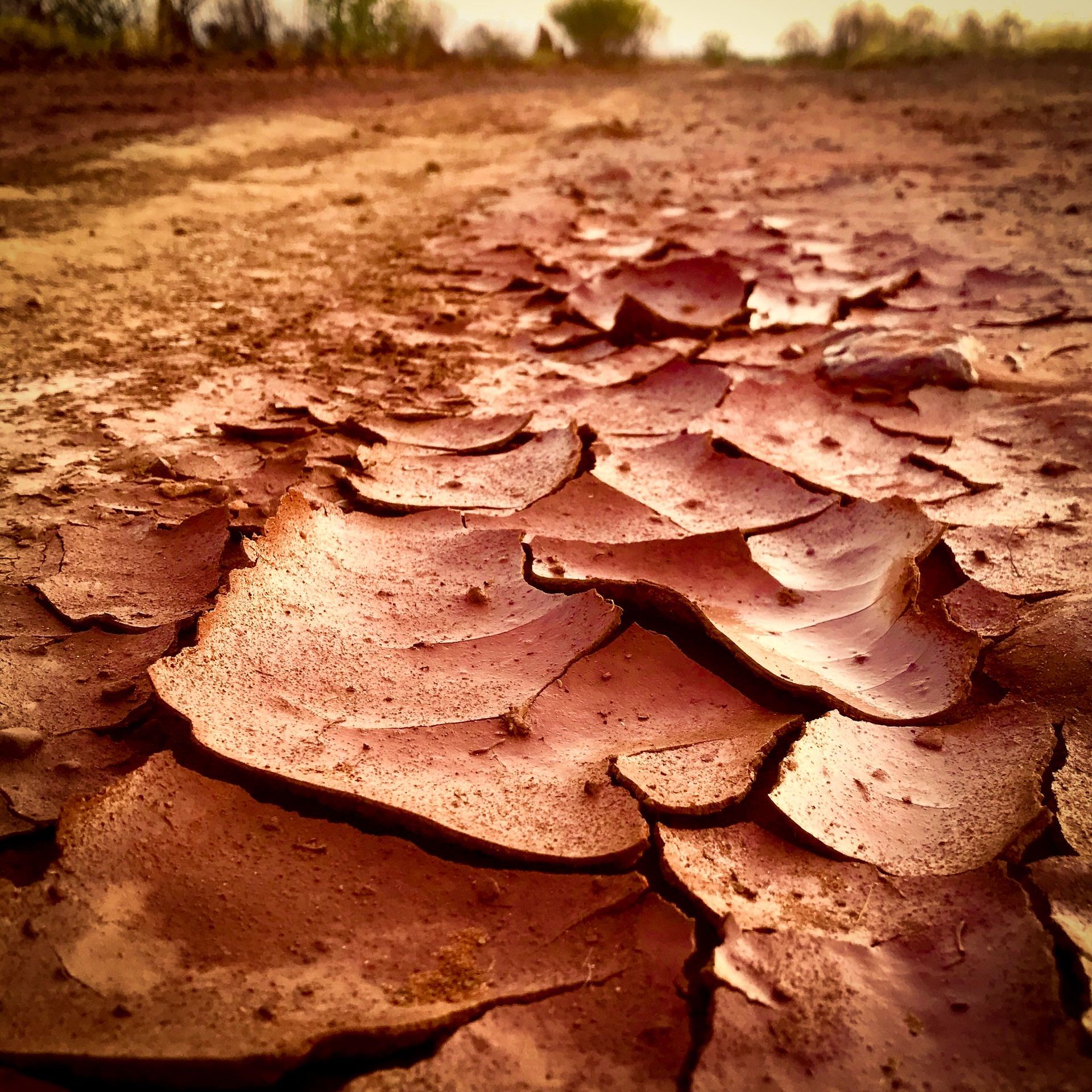 drying red sand road in mulan wa