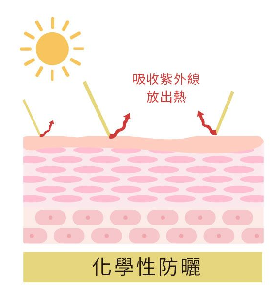 挑選防曬產品