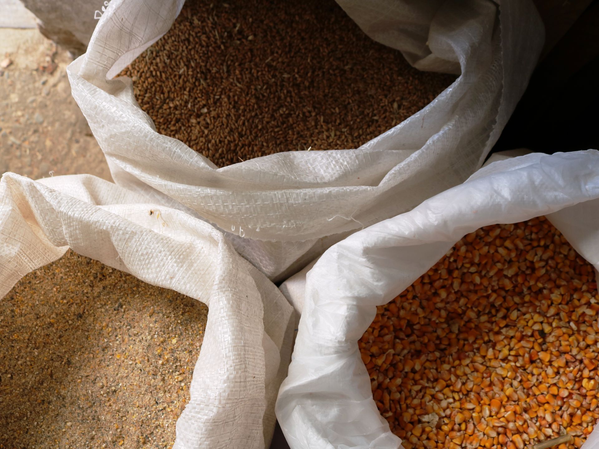 Open sacks filled with assorted grains and seeds in a market setting