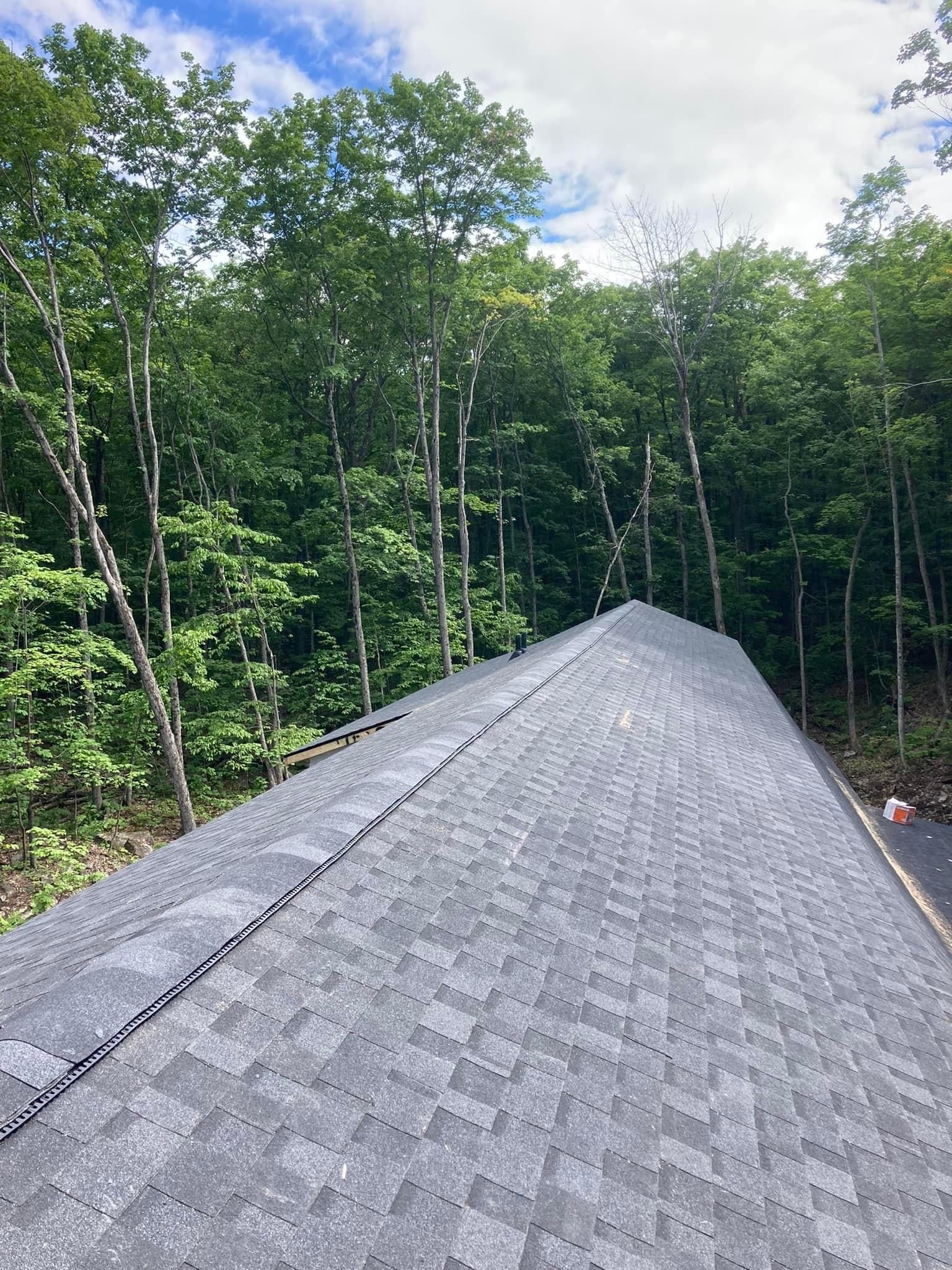 Un toit avec beaucoup de bardeaux est entouré d'arbres.