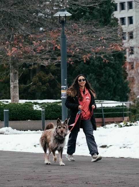 Woman walking a dog on a snow-dusted path. The dog is on a leash. Bare trees and a building are in the background.