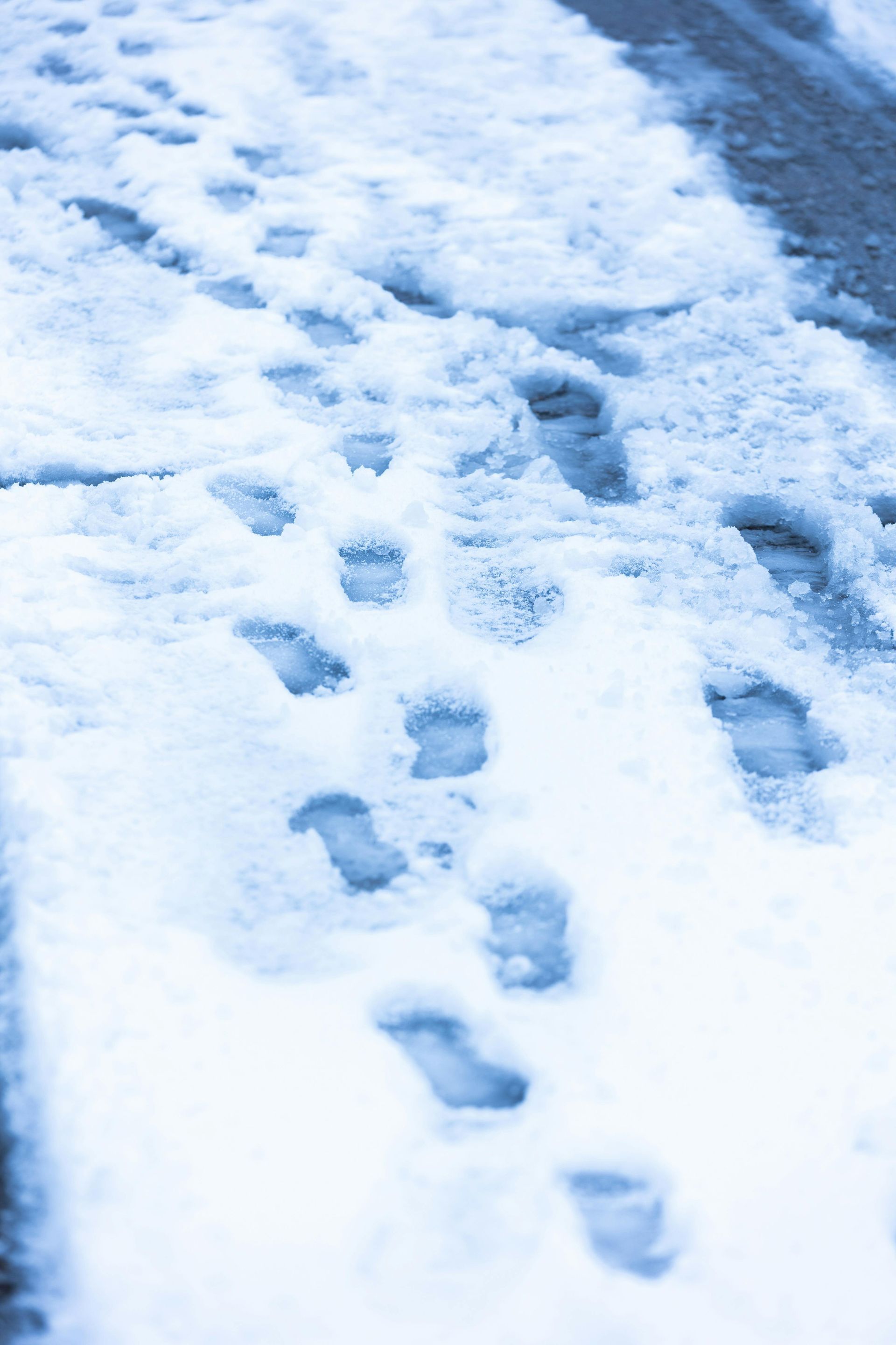 Footprints in fresh snow on a walkway, in shades of blue.