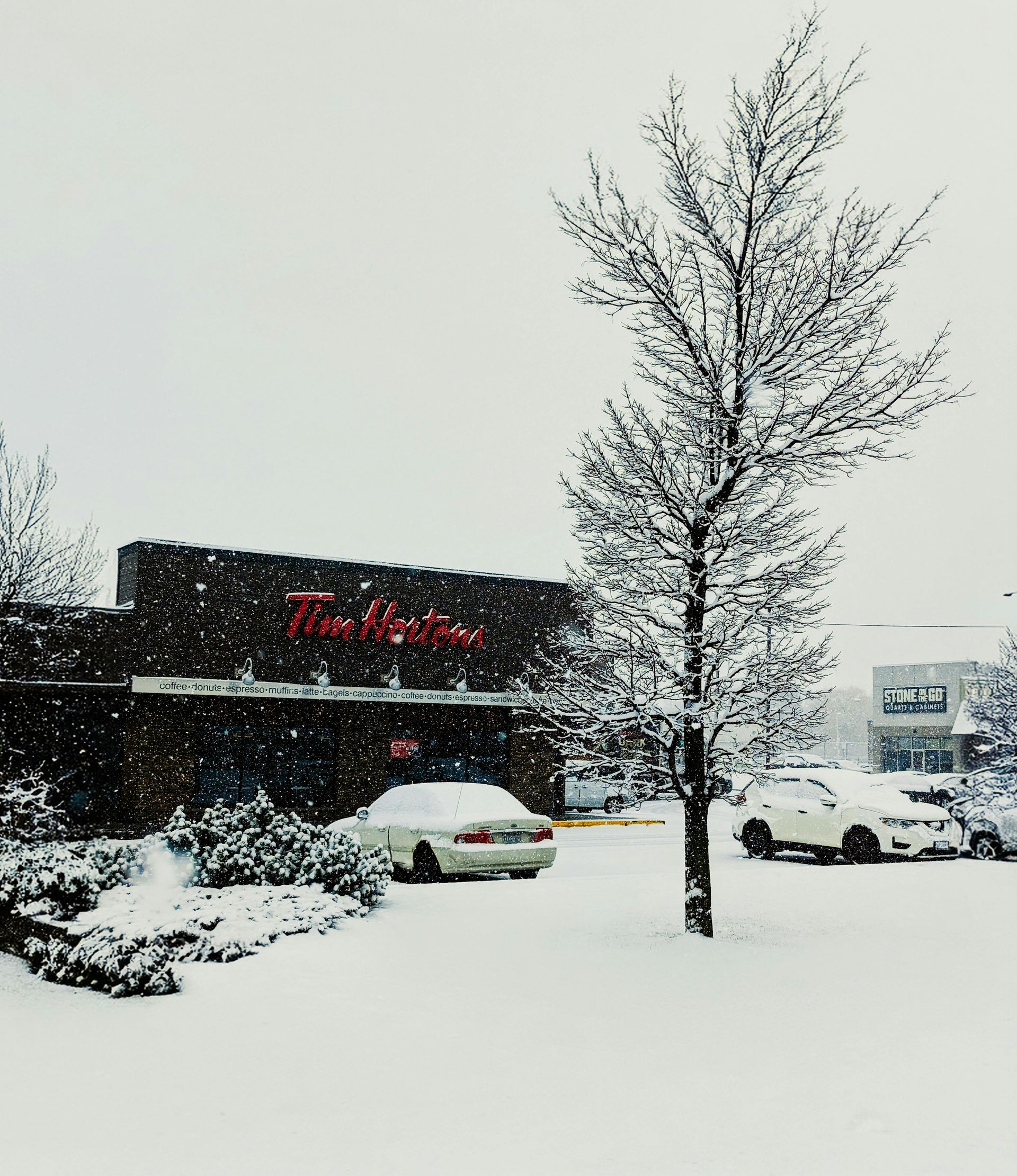Snowy scene of a Tim Hortons, cars, and a tree covered in snow.