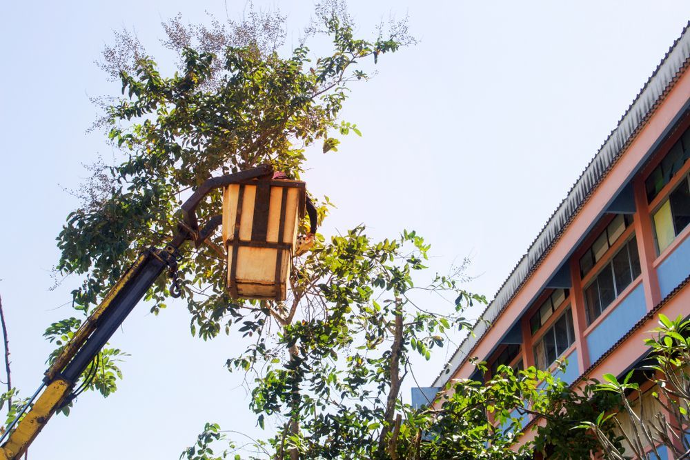 A Lantern is Hanging From a Crane in Front of a Building — MonkeyBeaver Tree Services in Muswellbrook, NSW
