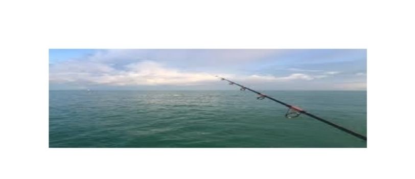 A fishing rod is sitting in the middle of the ocean.