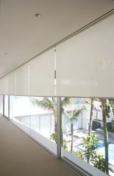 A Row of White Roller Shades — Advantage Screen And Blinds Rockhampton in Rockhampton, QLD