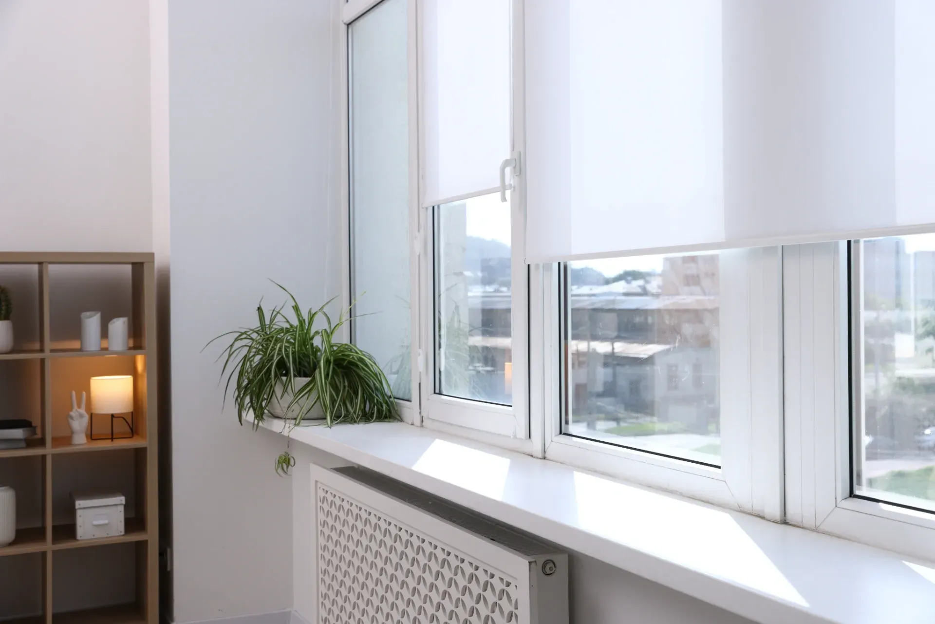 Bright room with white window ledge, potted plant, and shelving cabinet by the window.