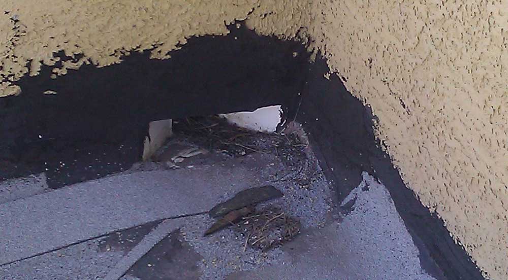 Home Reno 2 — Roofs in Las Vegas, NV