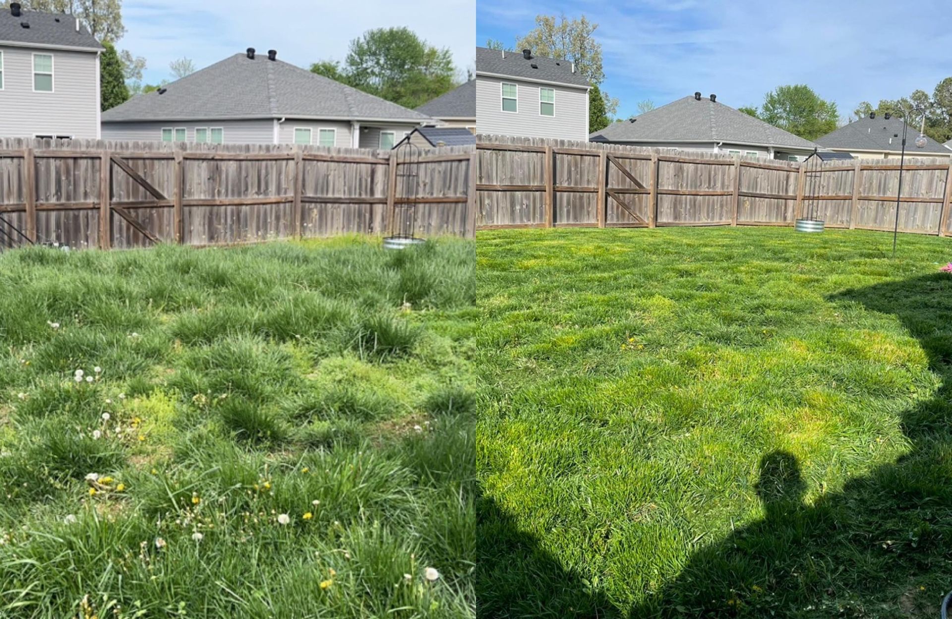 A before and after picture of a lawn with a wooden fence.