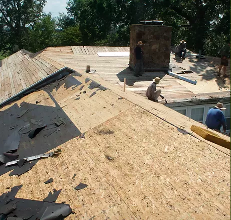 Roof without shingles