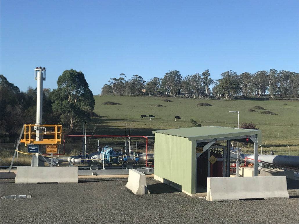 A green shed is in the middle of a field with trees in the background