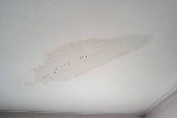 Stained ceiling with moisture marks requiring inspection from local drop ceiling contractor.