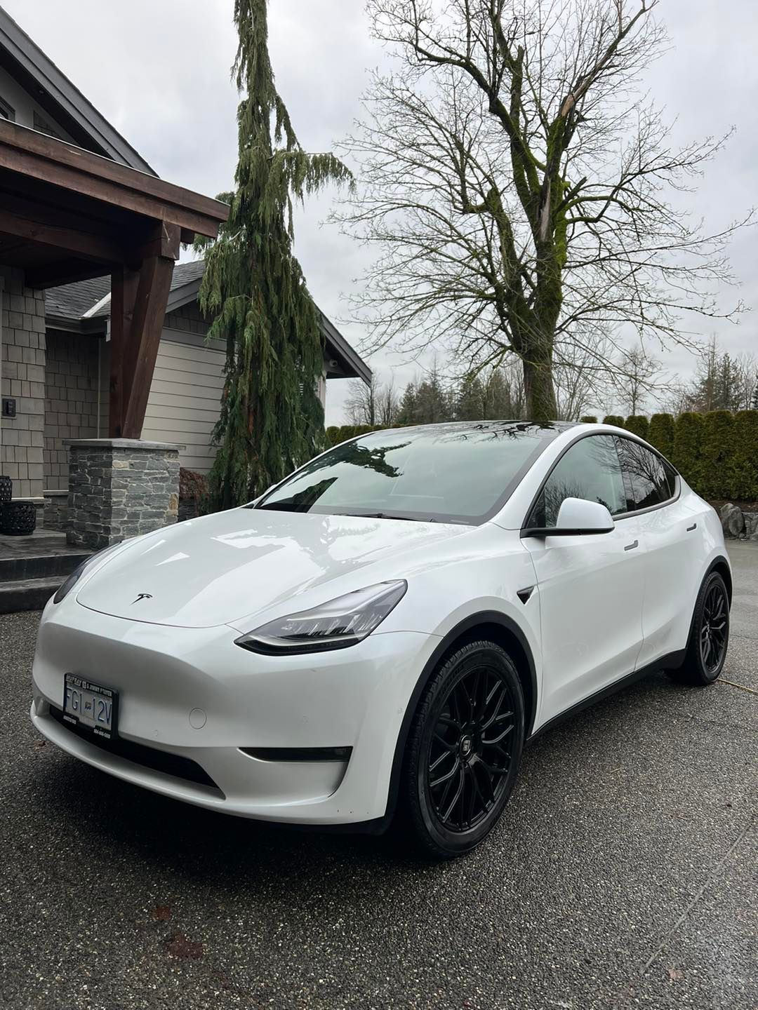 white Tesla car with window tint