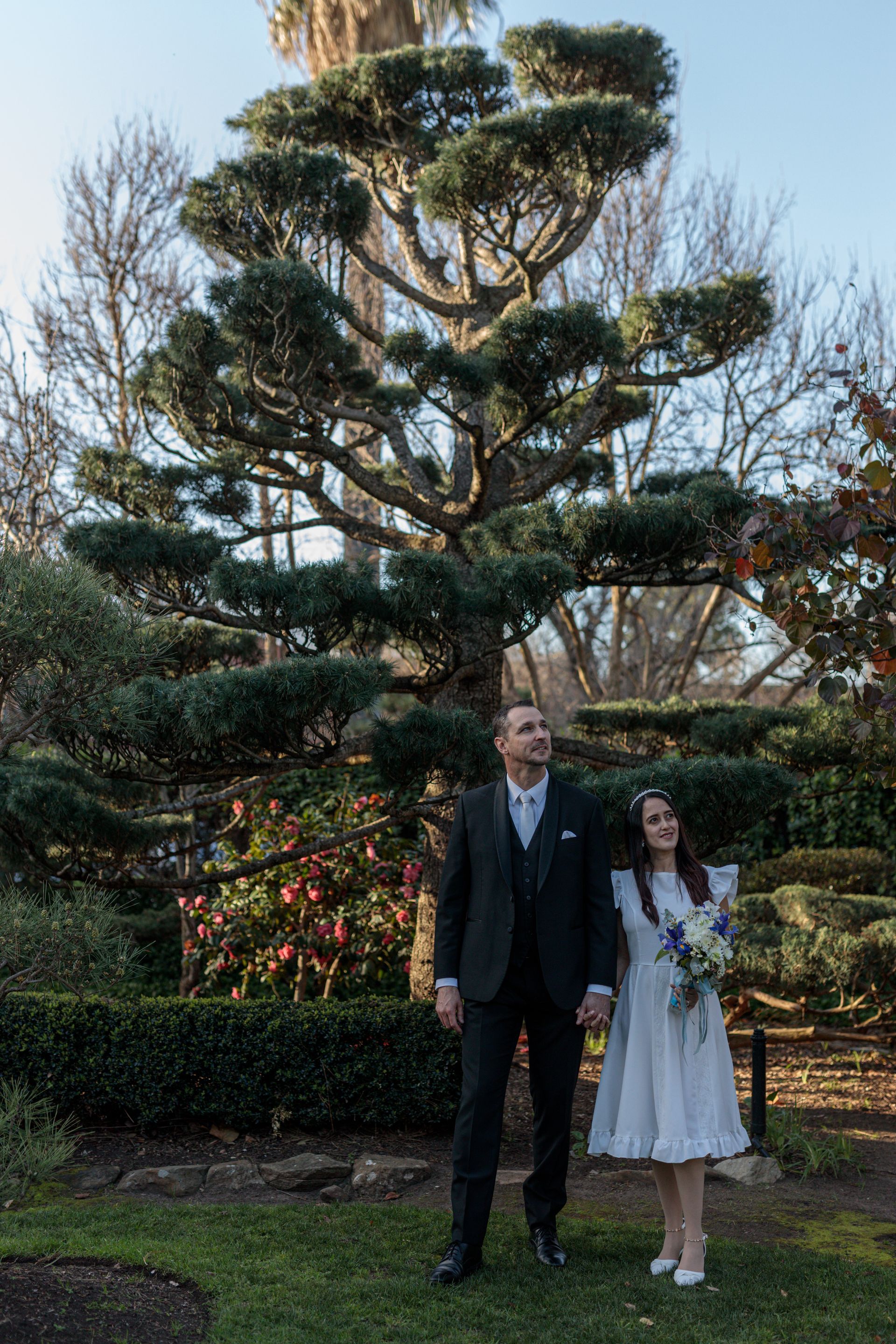 A bride and groom are holding hands in front of a large tree.