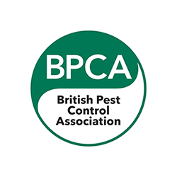 VectaShield Isle of Wight  becomes a British Pest Control Association Member