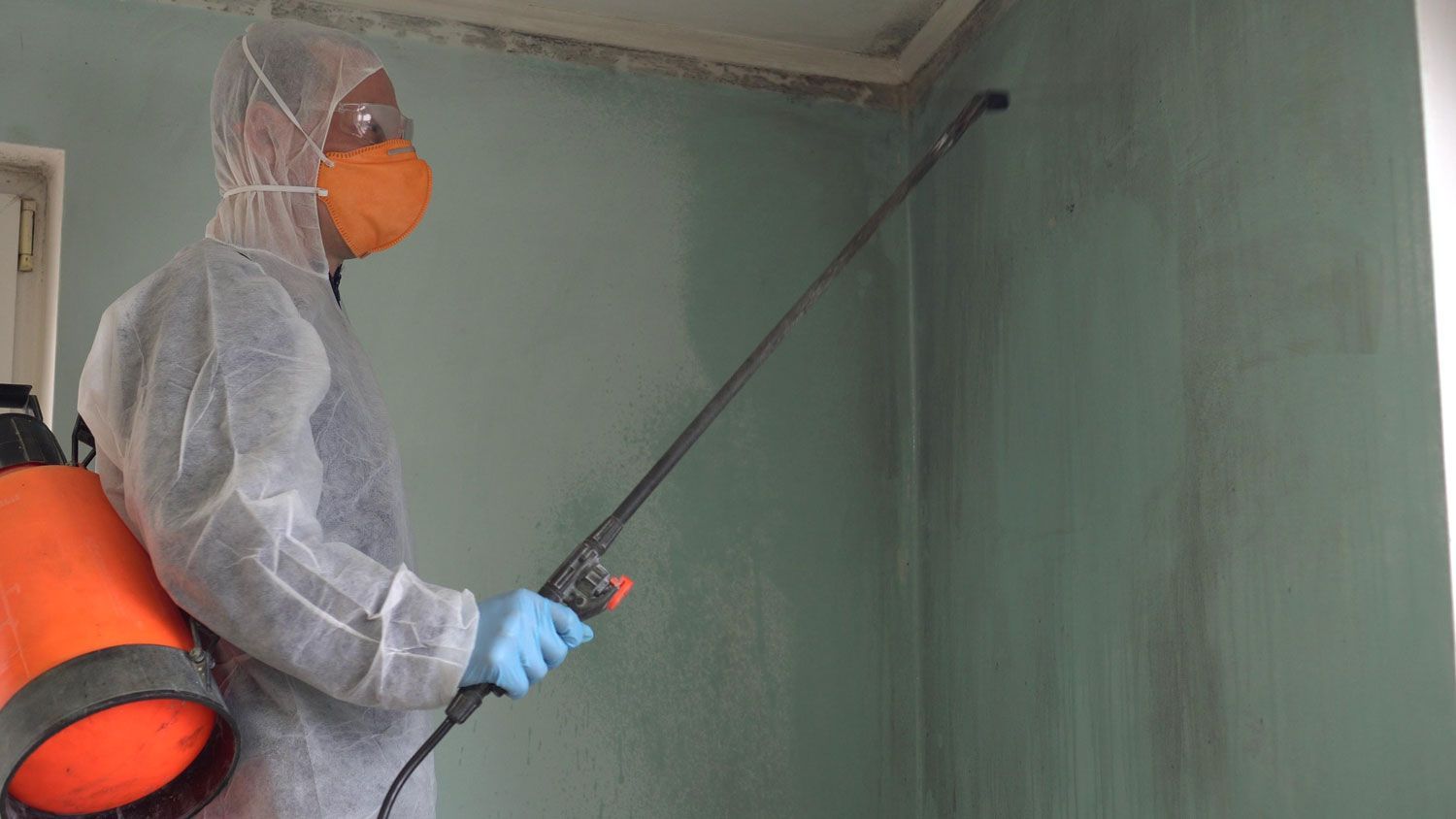 Mold Remediation