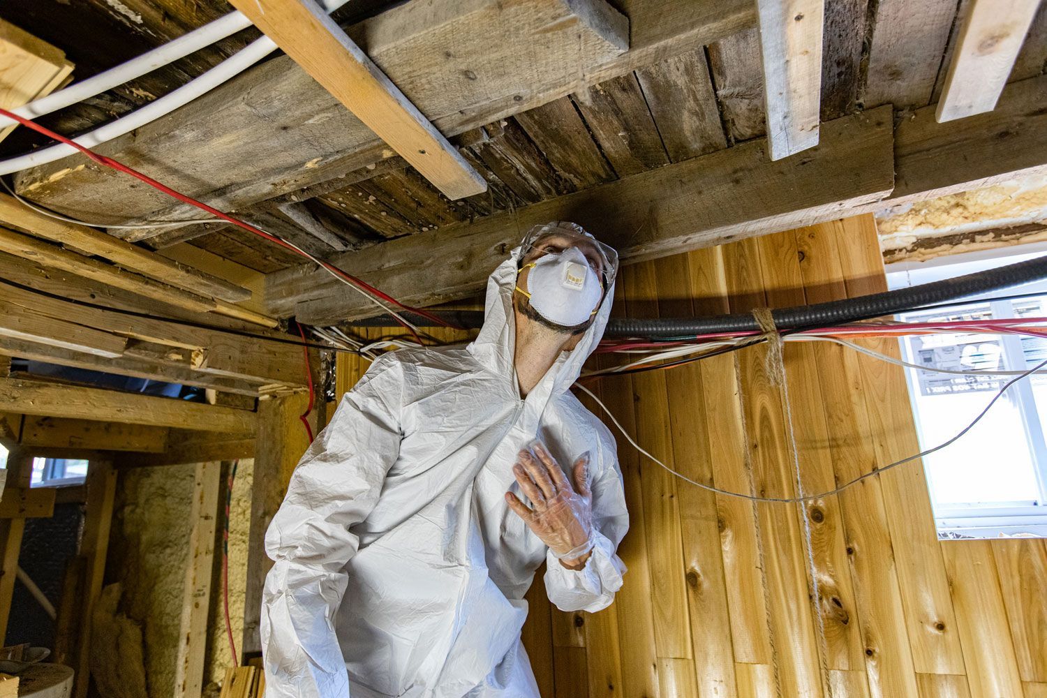 Mold Remediation