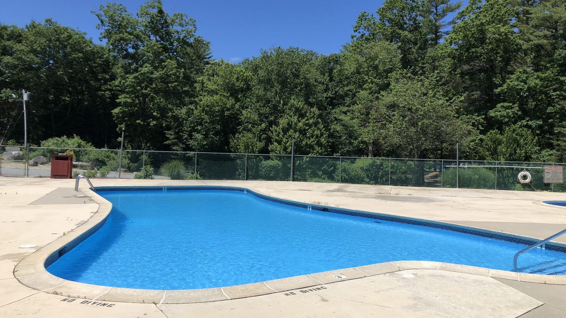 A large swimming pool surrounded by trees on a sunny day.