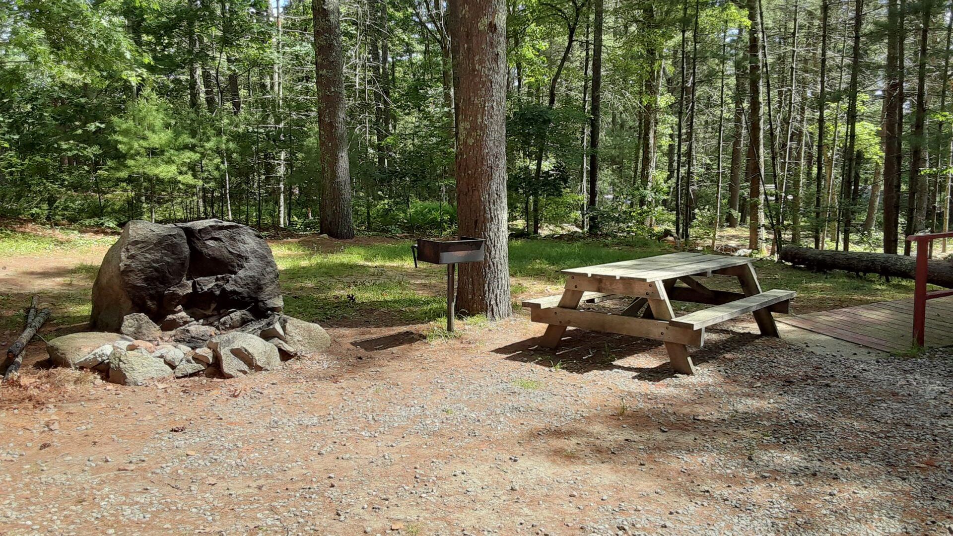 A picnic table is sitting in the middle of a forest next to a fire pit.