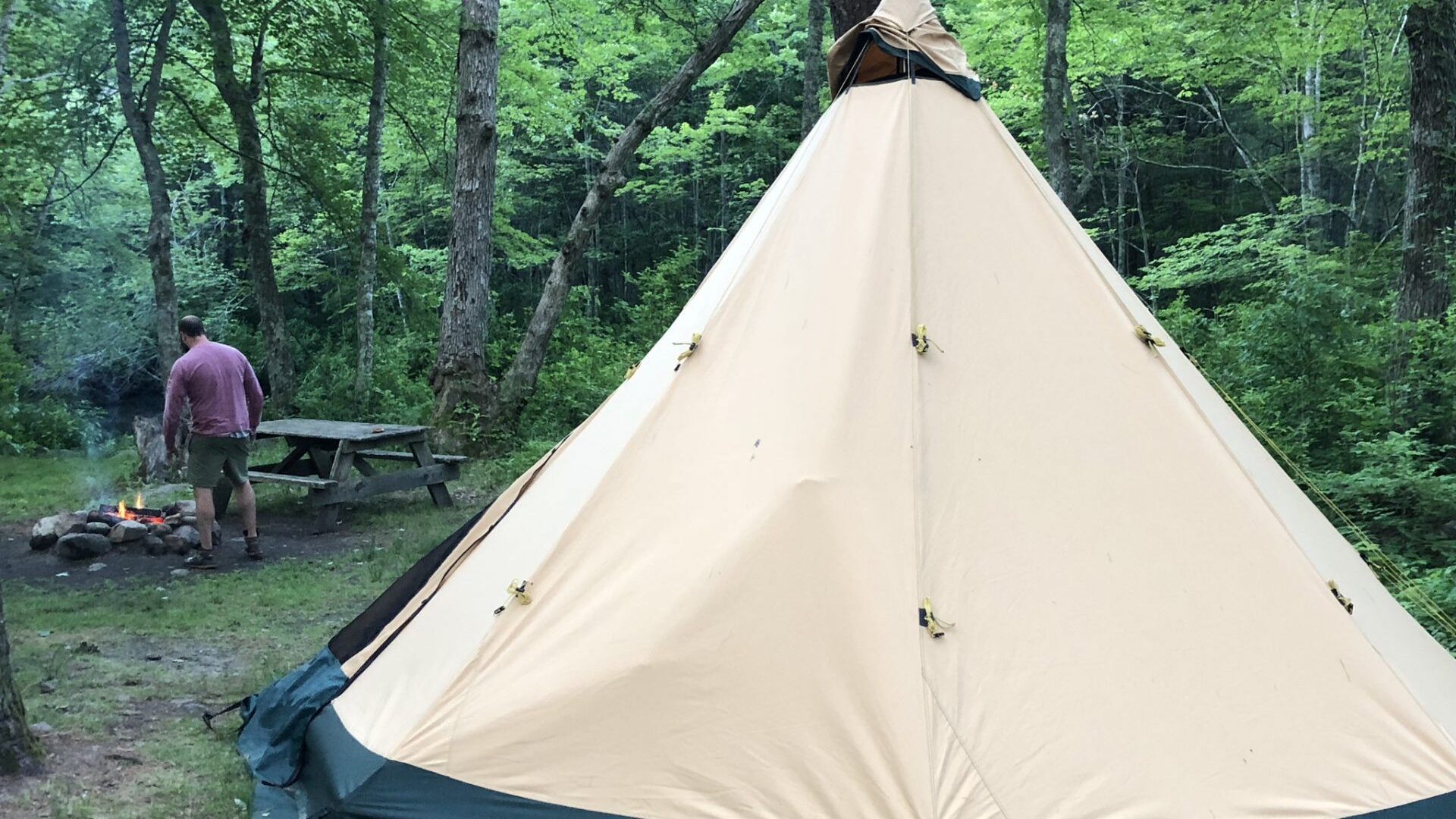 A man is standing next to a tent in the woods.