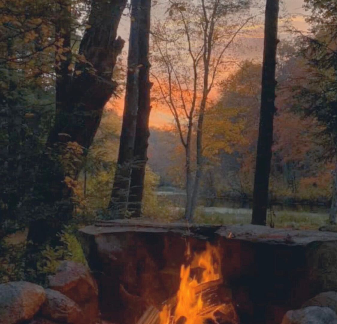 A fire pit in the middle of a forest at sunset