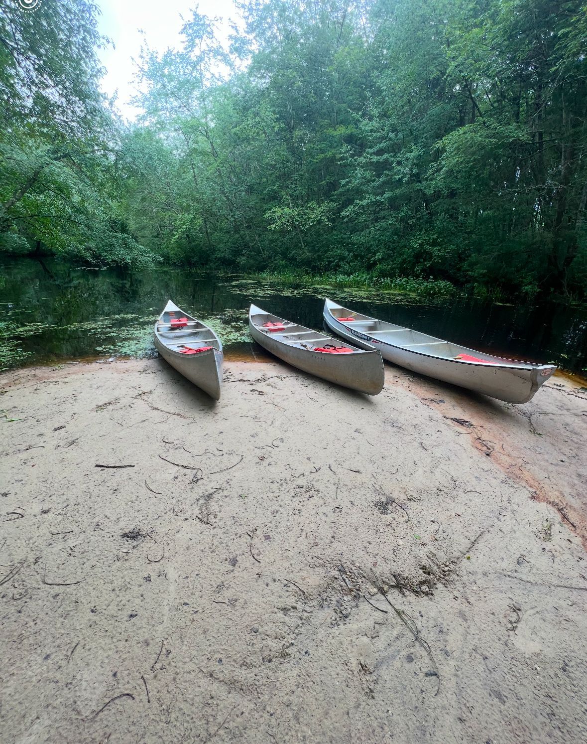 Three canoes are sitting on a sandy beach near a river