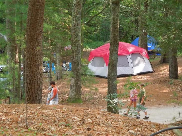 A group of people are walking in the woods near a tent.