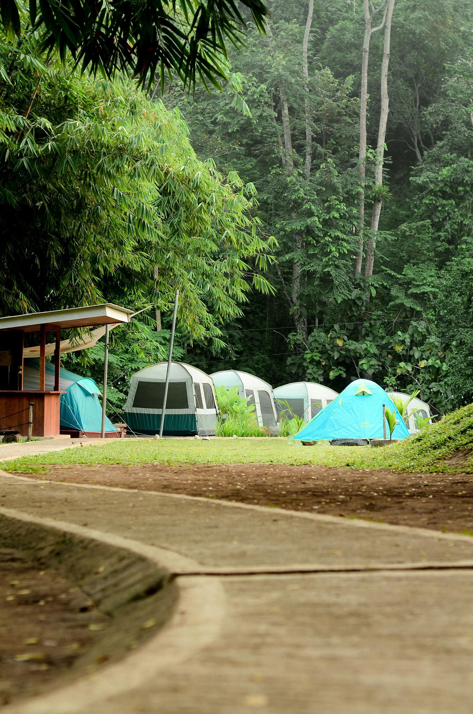 A group of tents are sitting on top of a lush green field.