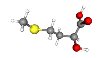 2-Hydroxy-4-(Methylthio) Butyric Acid