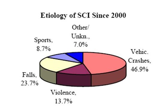 Etiology of SCI Since 2000 — Turners Falls, MA — Dolan & Dolan