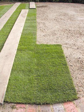 Turf being laid on a garden