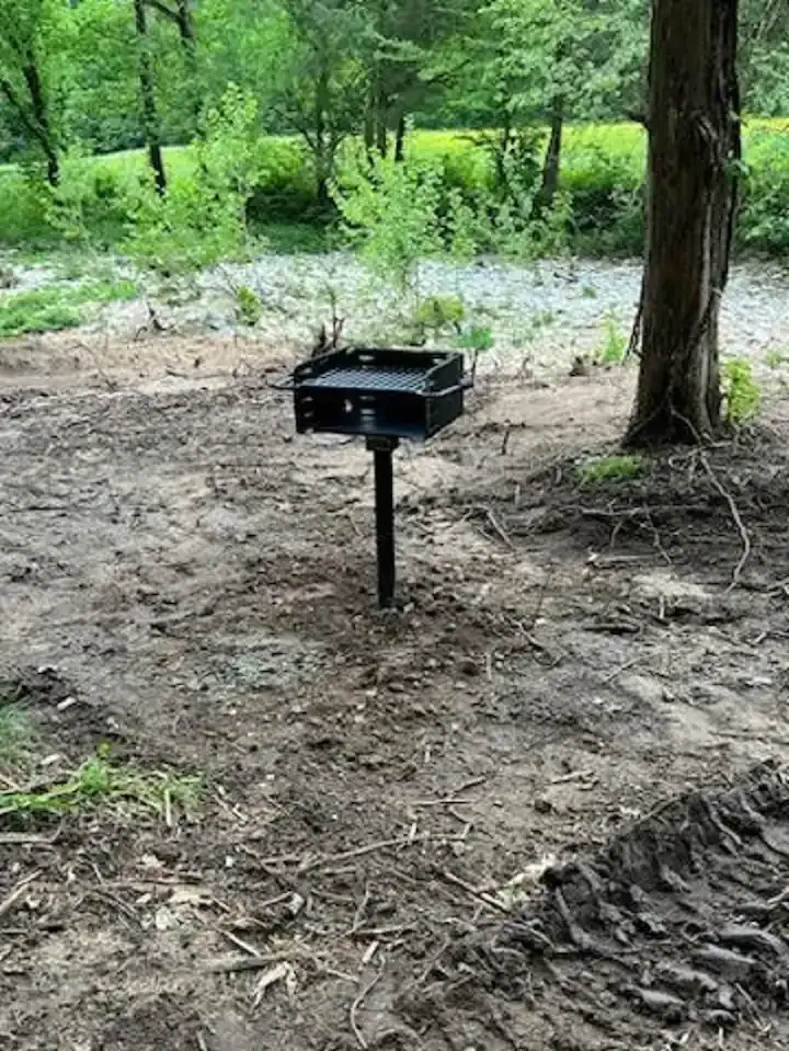 Dog Wood Tree Loft Rental