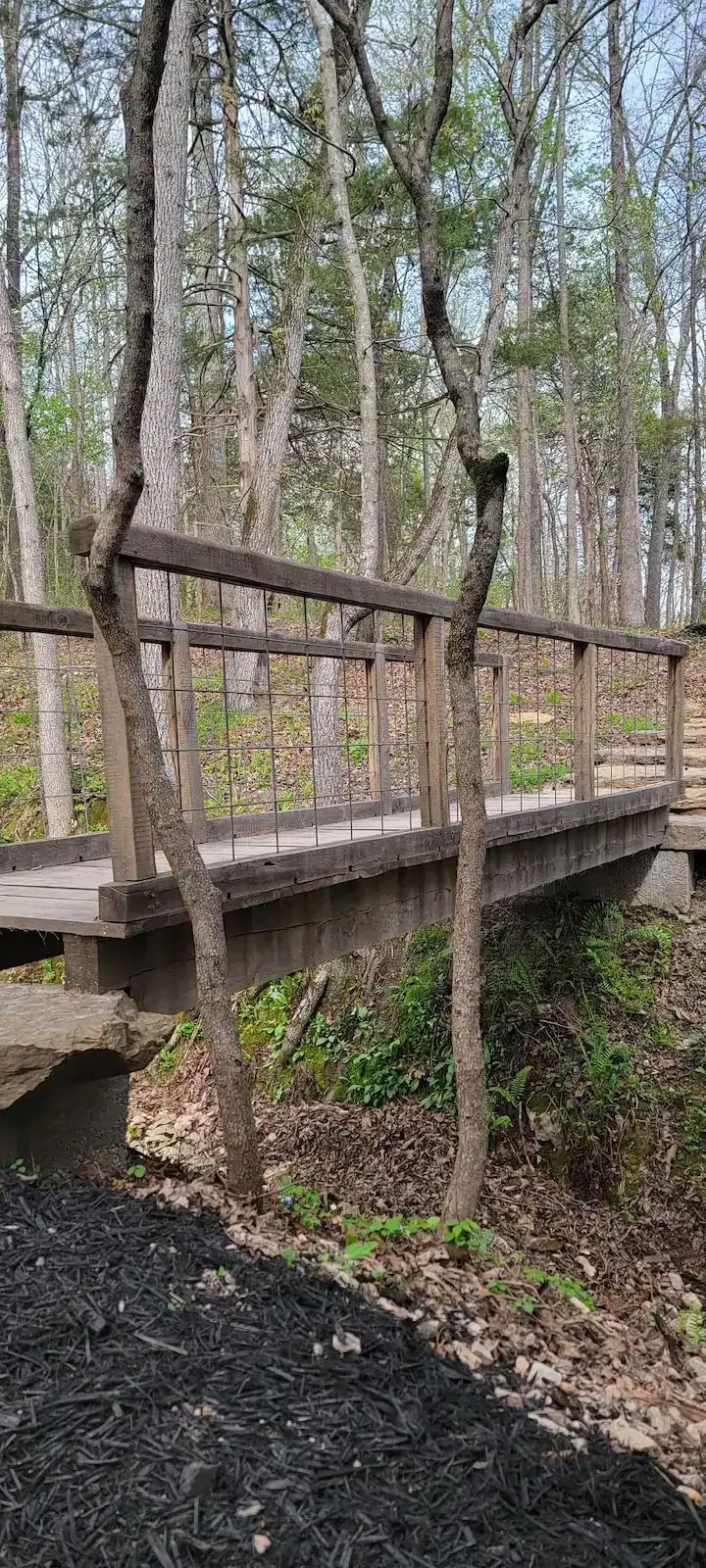 The Barn House Tree Loft cabin rentals Buffalo River AR