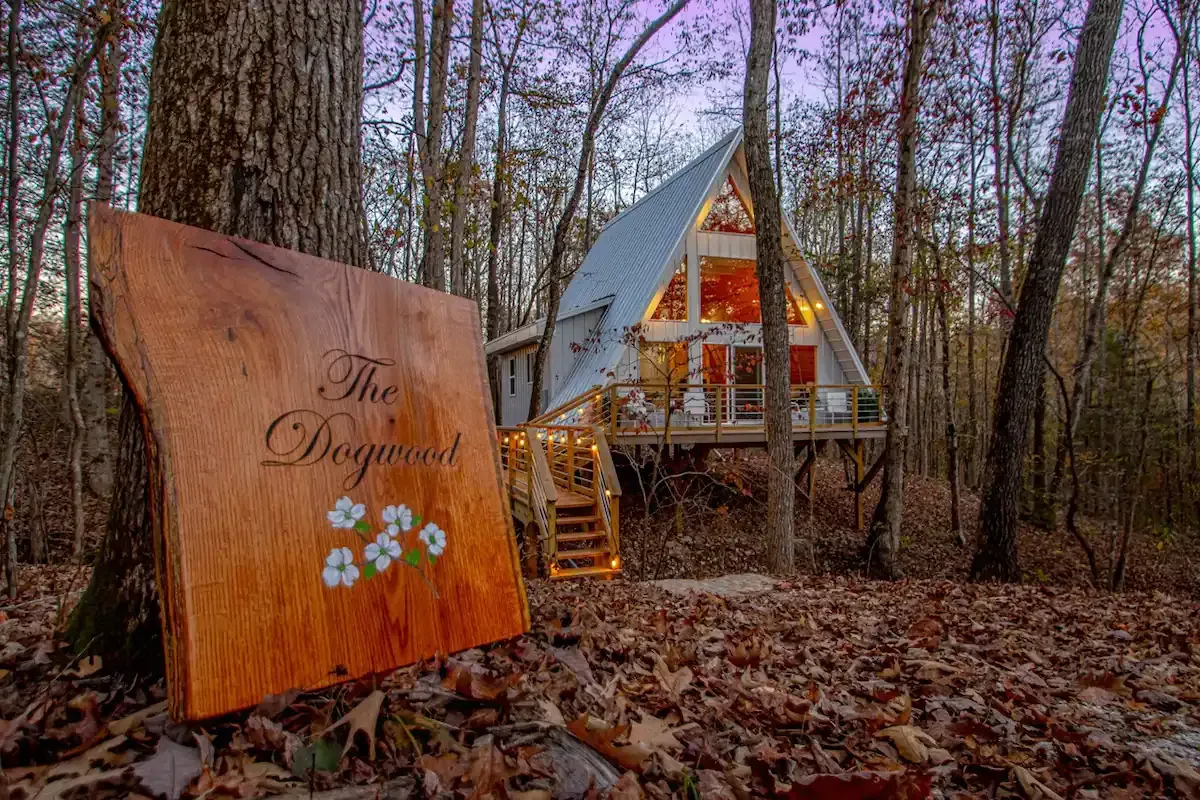 Dog Wood Tree Loft Rental