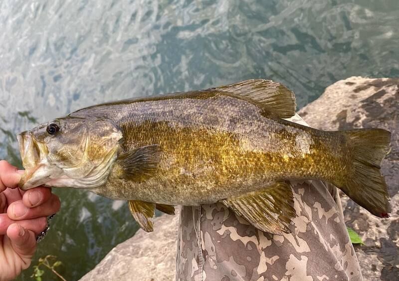 things to do at Nature's Loft cabins