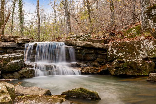 Things To Do in Romantic Treehouse Getaways near the Buffalo River