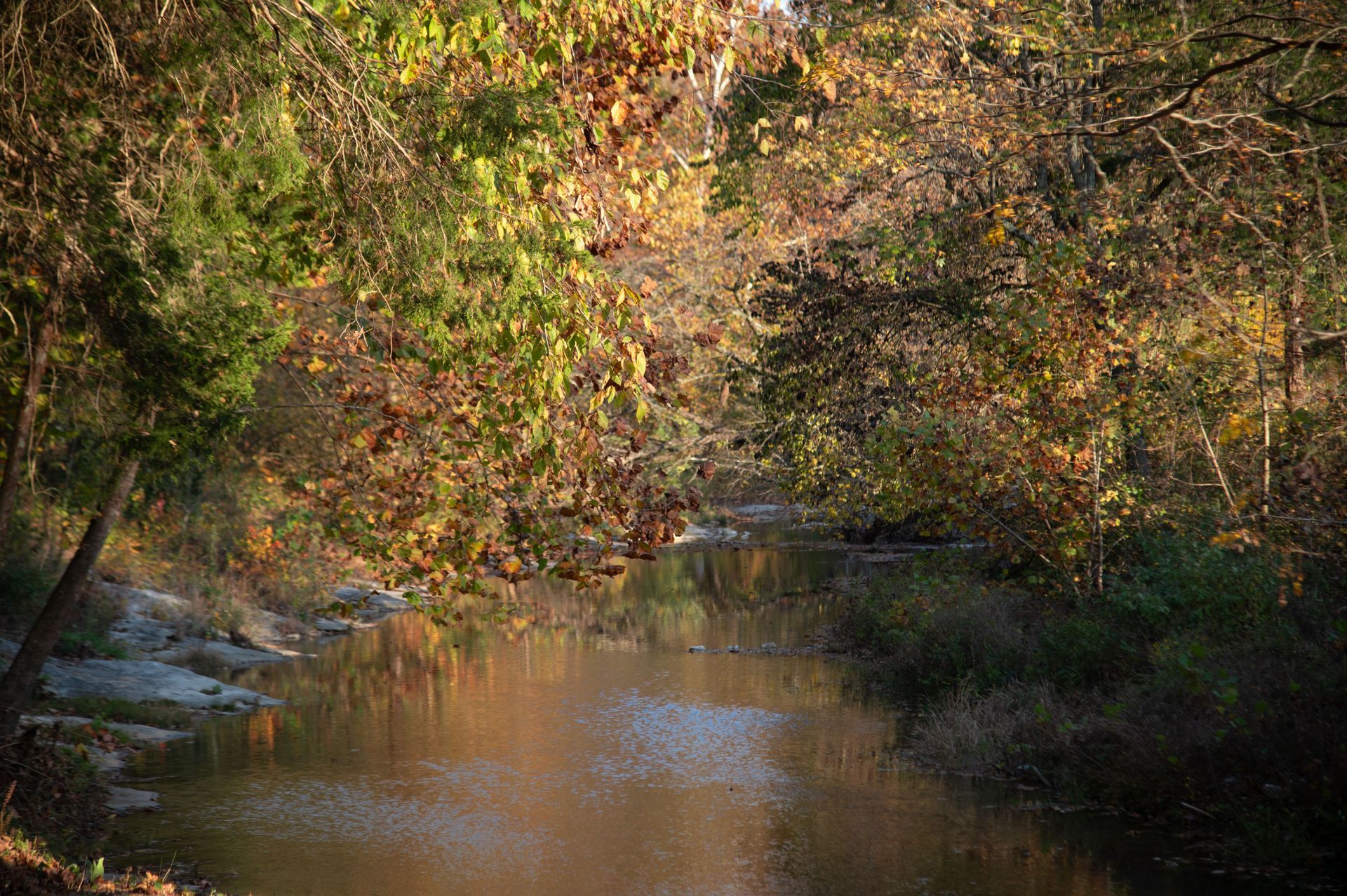 cabin rentals buffalo river