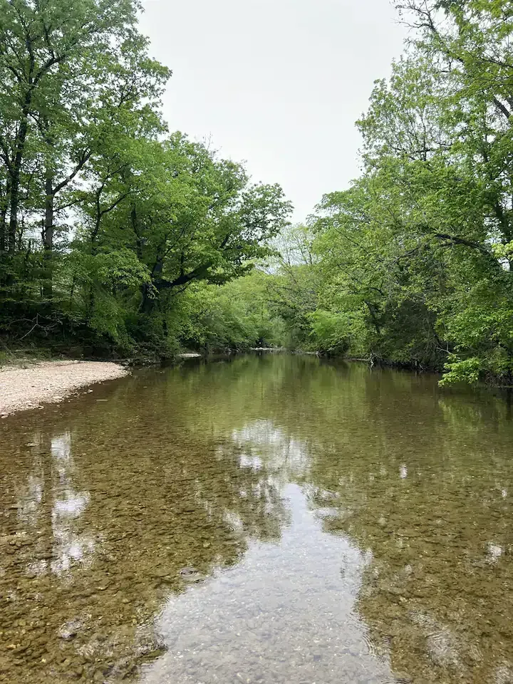 things to do at Nature's Loft cabins