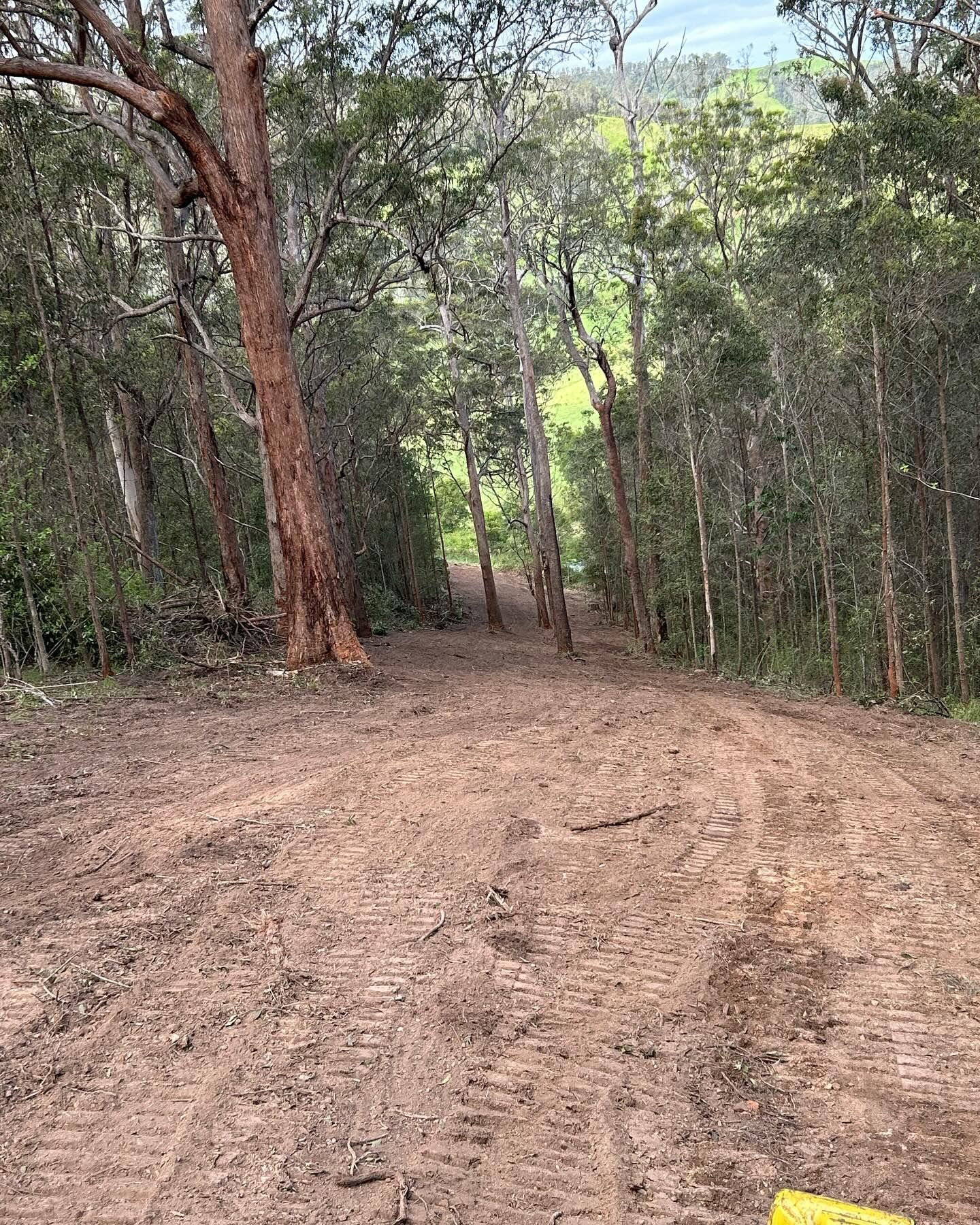 Muddy dirt path through trees, leading uphill.