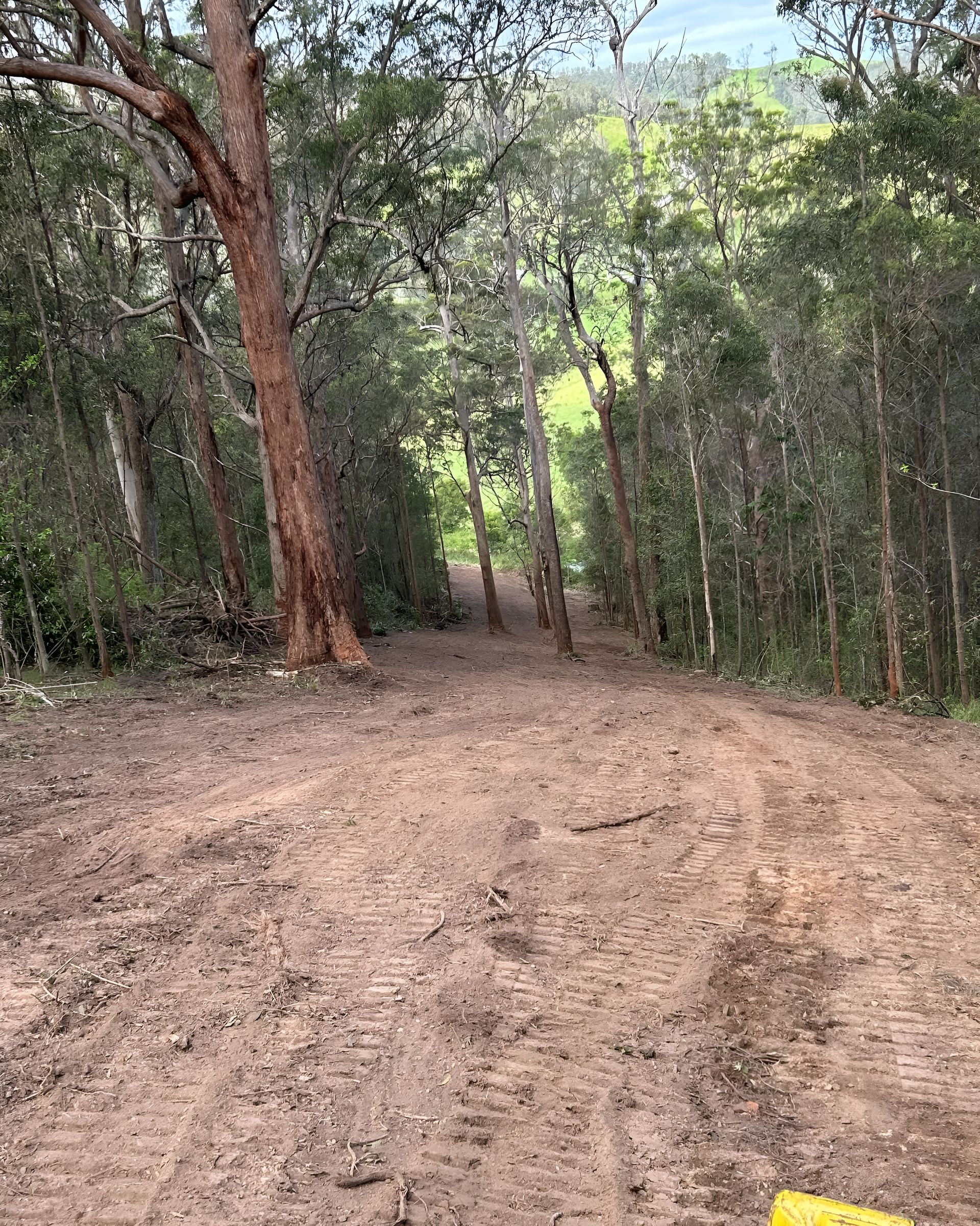 Muddy Dirt Path Through a Dense Forest, Leading — MG Earthworks and Plant Hire in Gumma, NSW