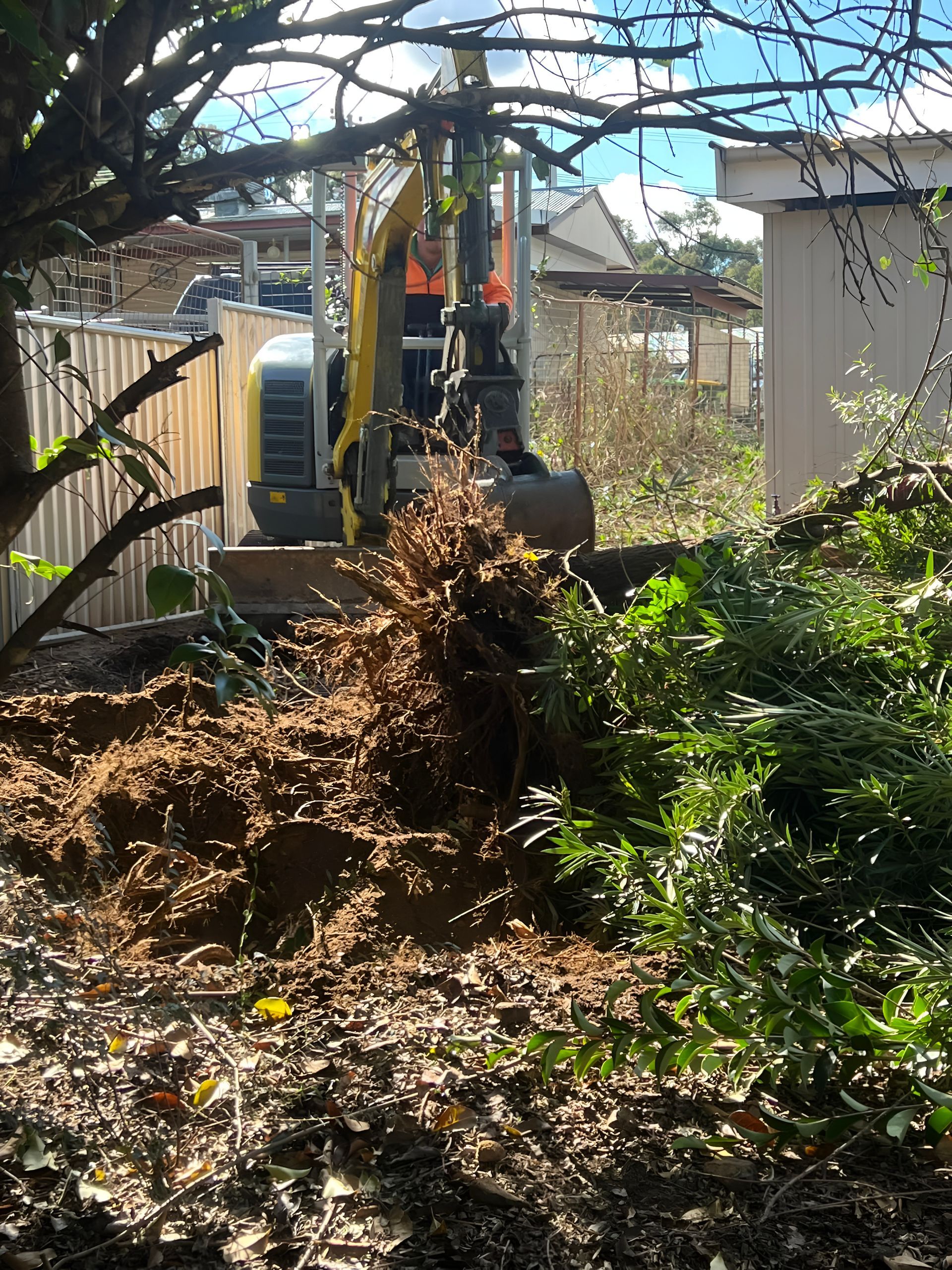 Mini Excavator Removing Dirt and Debris — MG Earthworks and Plant Hire in Coffs Harbour, NSW