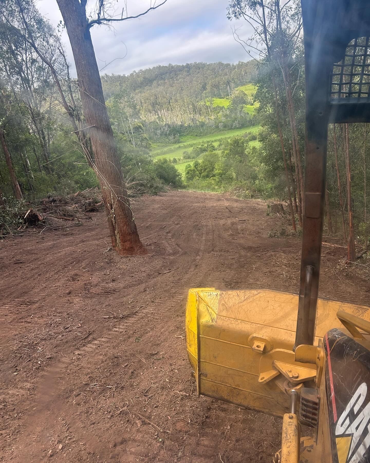 A bulldozer clearing a dirt path in a wooded area, with a hillside visible in the background.