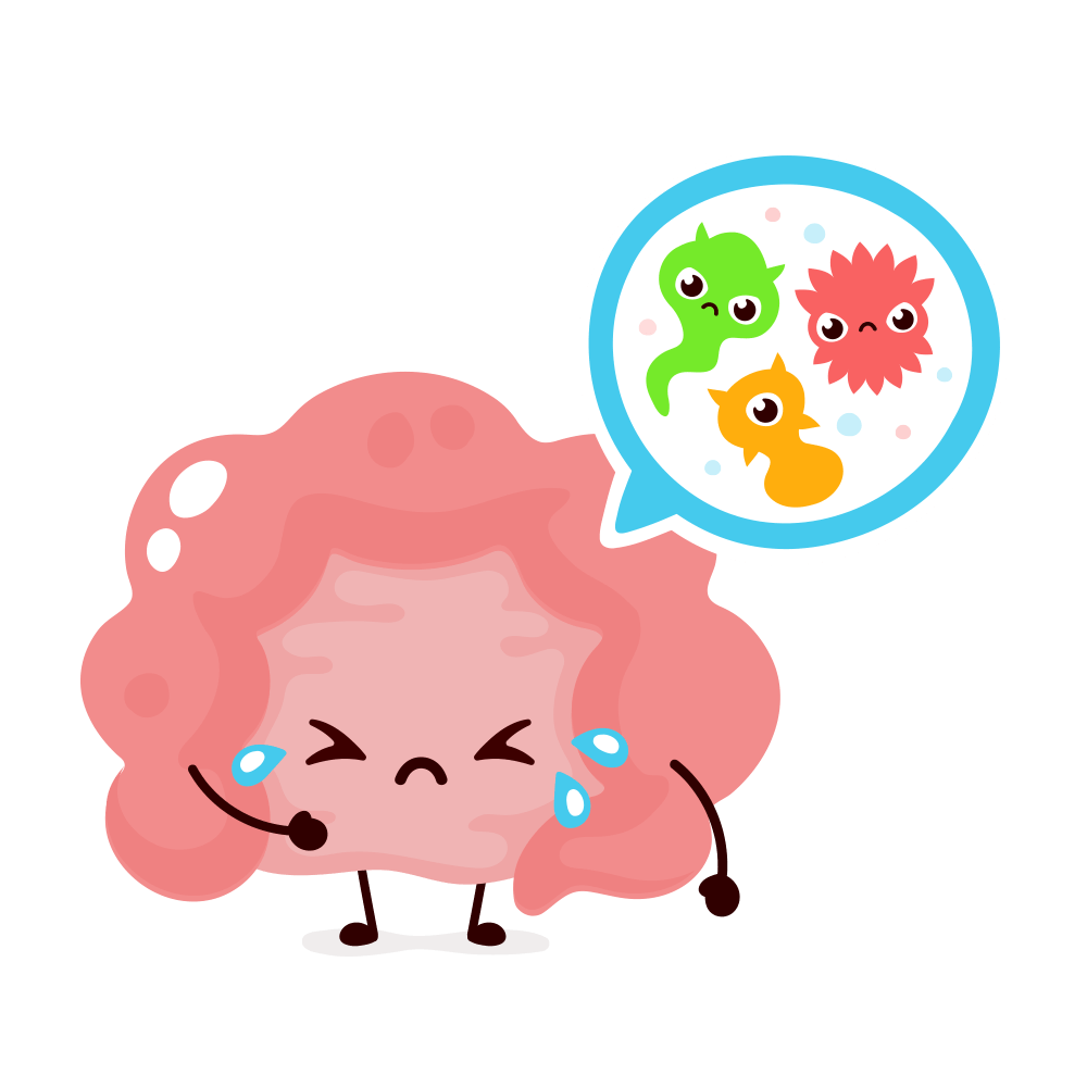 Patologie e disturbi intestinali