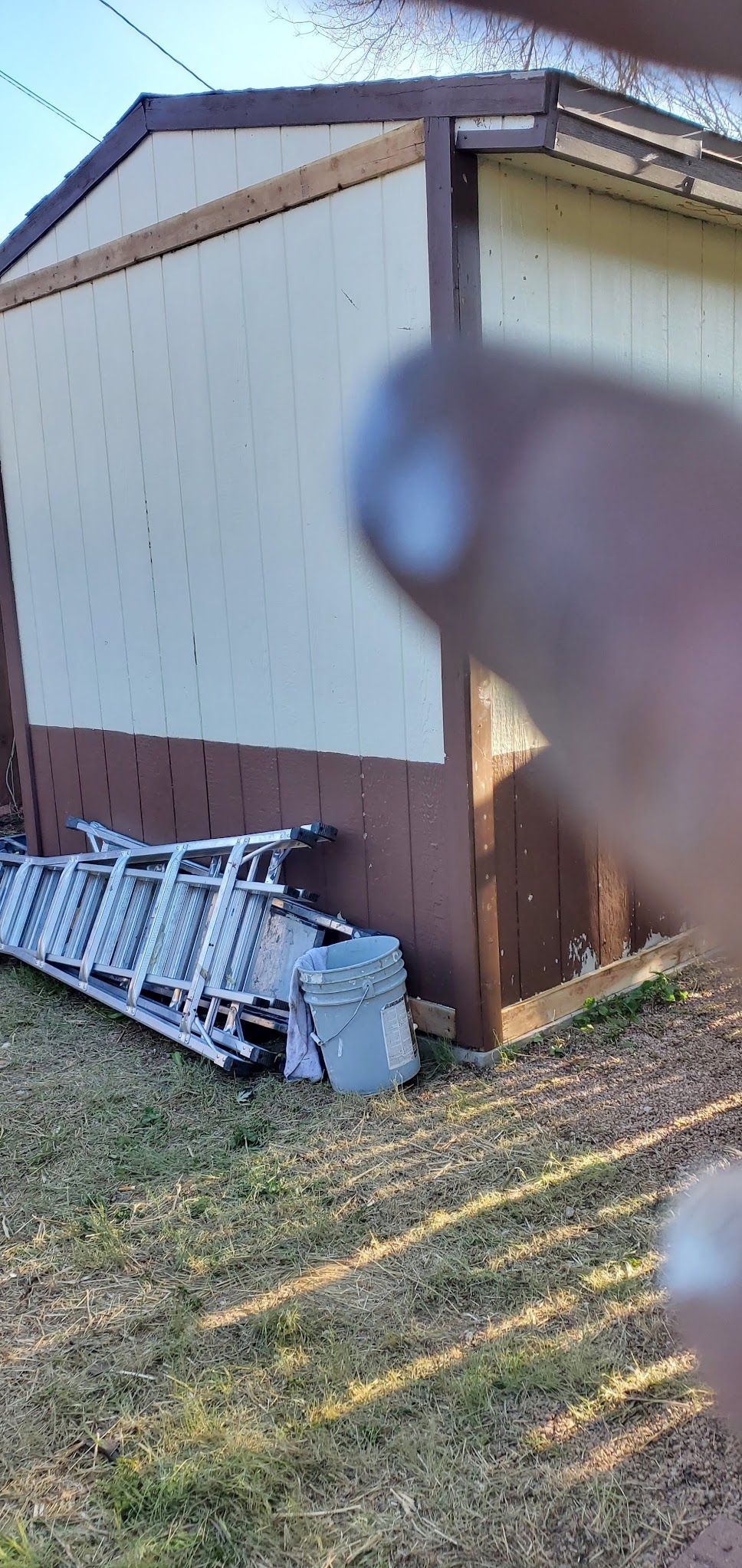 A person is pointing at a ladder in front of a house.