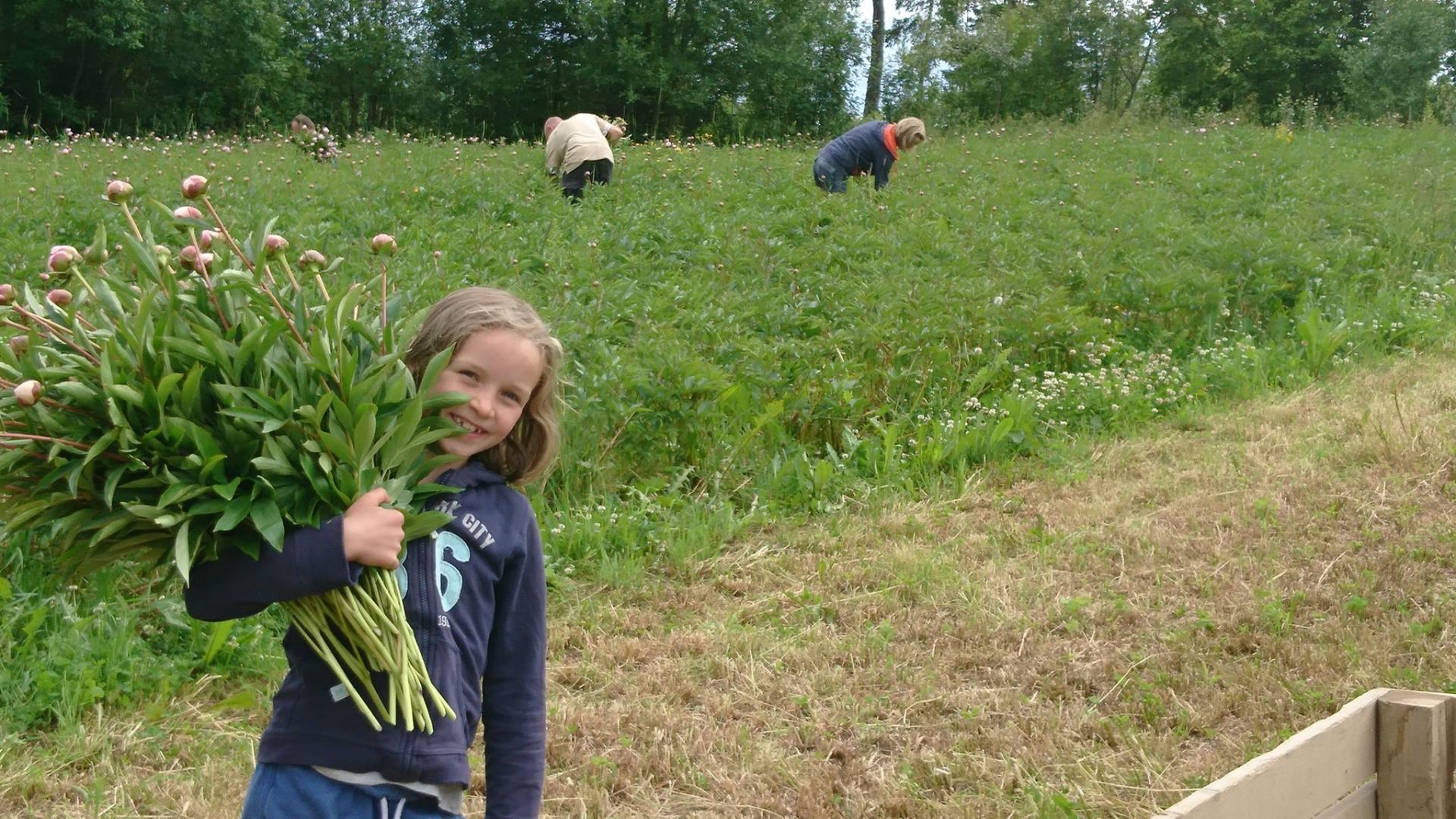 a young girl is holding a bouquet of flowers in a field .