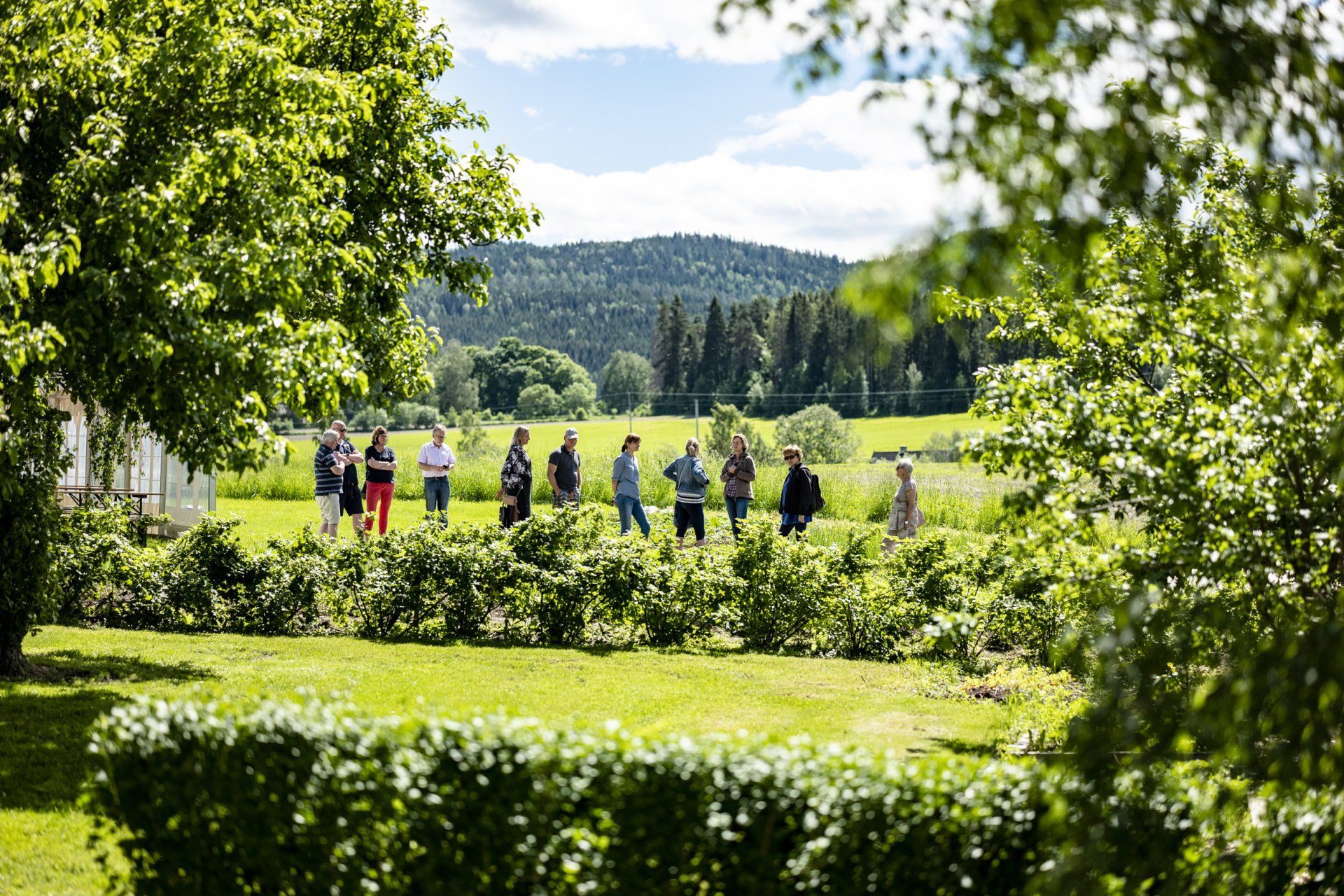 a group of people are walking through a grassy field .